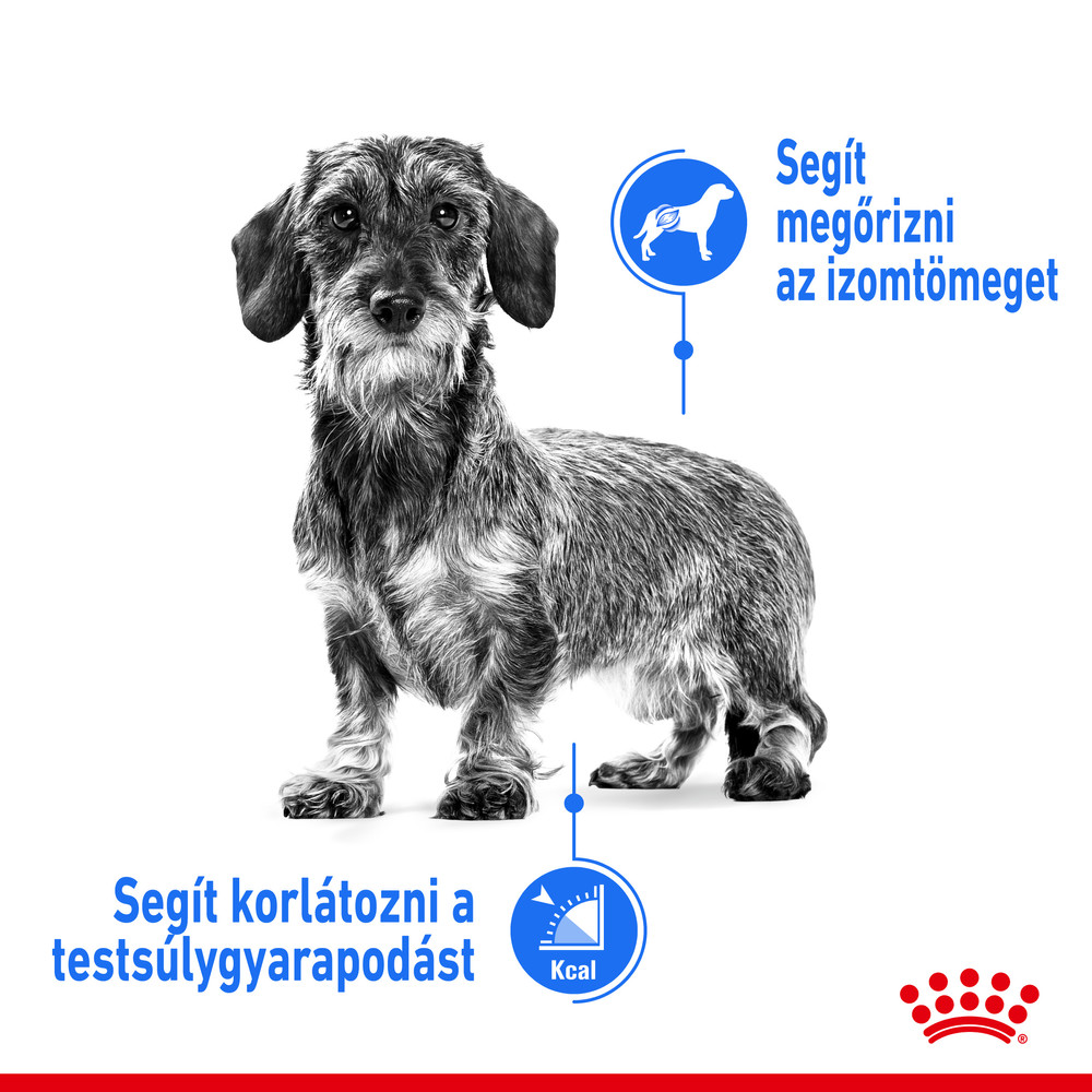mini light royal canin