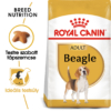 Kép 1/8 - ROYAL CANIN BEAGLE ADULT - Beagle felnőtt kutya száraz táp 12 kg