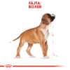 Kép 6/9 - ROYAL CANIN BOXER JUNIOR - Boxer kölyök kutya száraz táp 12 kg