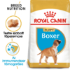 Kép 1/9 - ROYAL CANIN BOXER JUNIOR - Boxer kölyök kutya száraz táp 12 kg