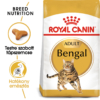 Kép 1/7 - ROYAL CANIN BENGAL ADULT - Bengáli felnőtt macska száraz táp 10kg