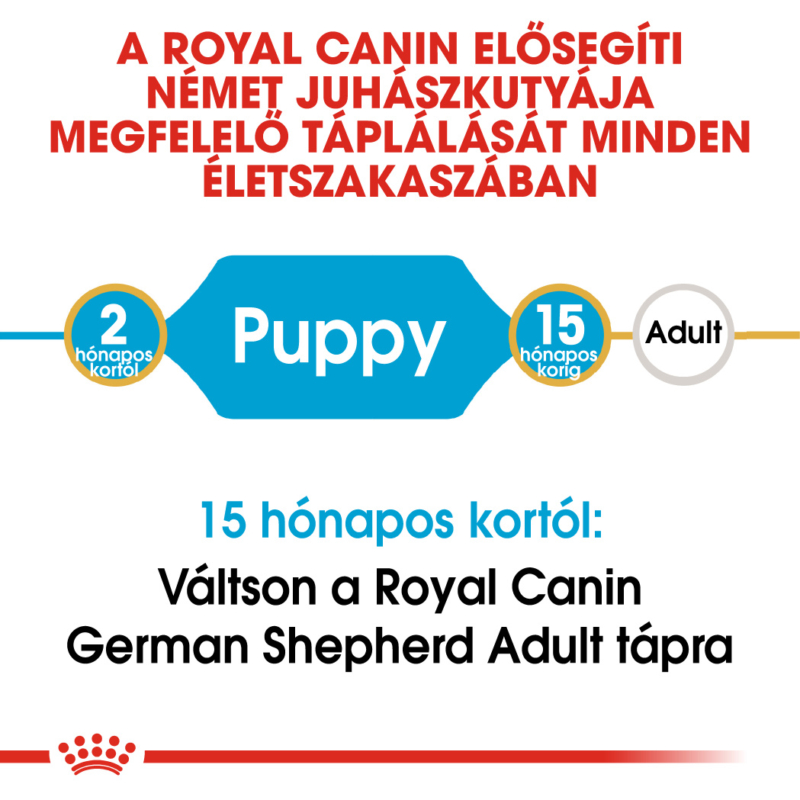 ROYAL CANIN GERMAN SHEPHERD JUNIOR - Német Juhász kölyök kutya száraz táp 12 kg