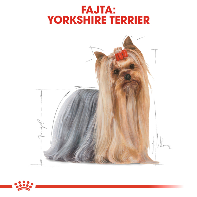 ROYAL CANIN YORKSHIRE TERRIER ADULT - Yorkshire Terrier felnőtt kutya száraz táp 7.5 kg