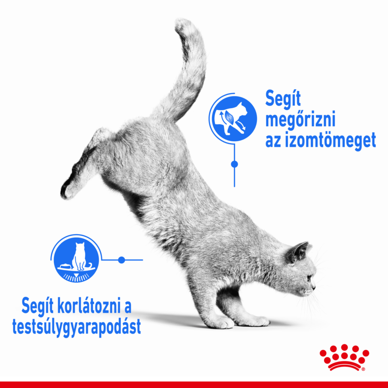 ROYAL CANIN LIGHT WEIGHT CARE - száraz táp felnőtt macskák részére az ideális testsúly eléréséért 8 kg