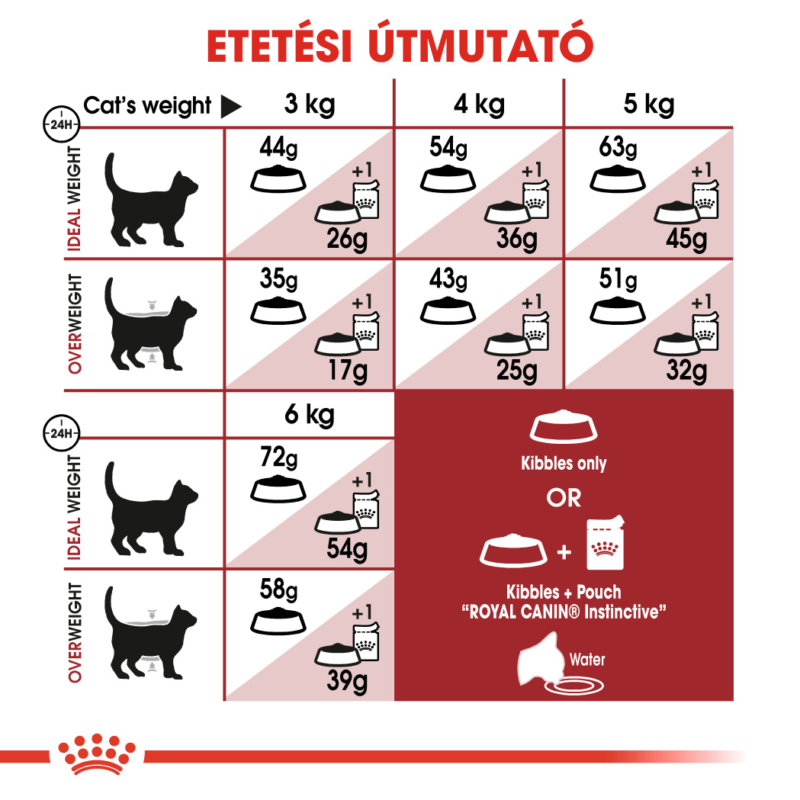ROYAL CANIN FIT - aktív felnőtt macska száraz táp 10 kg