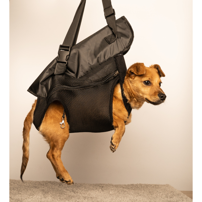 Kutya hordozó táska XL